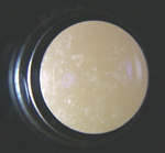 ���̂P�������тĂ���