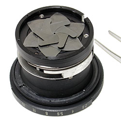 Aperture blades