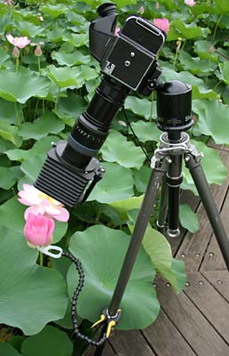 Kiev 88CM at Chiba Park, 2006