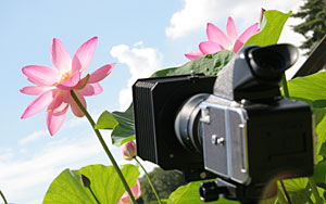 ��t�����̃n�X