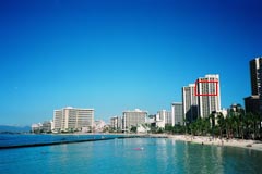 �I�����p�X�ŎB�������C�L�L