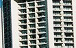 �I�����p�X�ŎB�������C�L�L