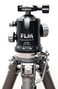 FLM�̎��R�_��