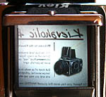 �L�G�t�Ƀn�b�Z���̃X�N���[��