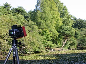 Kiev 88CM at Shinjuku Gyoen