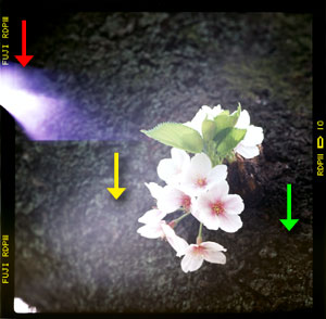 Light leak and flare