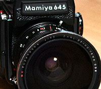 �}�~���U�S�T�@�P�O�O�O���ƃc�@�C�X�C�G�i�̃t���N�g�S��