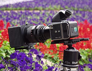 Unbalanced Kiev 88CM =S