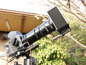 Taking pictures of cherry blossoms