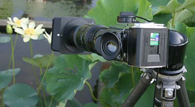 Kiev 88CM at Chiba Ryokuchi Shokubutsu Jikken-jo, 2006