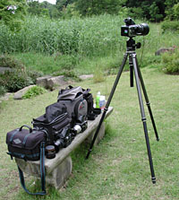 The Great(?) Lens Shootout