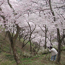 �����ŐÂ��ȏꏊ���������I