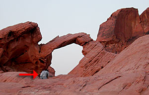 �ʐ^���B���Ă��܂��I